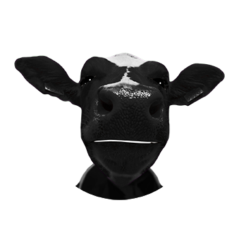 Image vache wanted